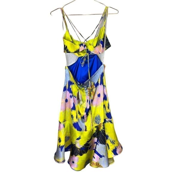 NEW Silvia Tcherassi Analissa Cut Out Silk Abstract Floral Dress Medium - Picture 7 of 14